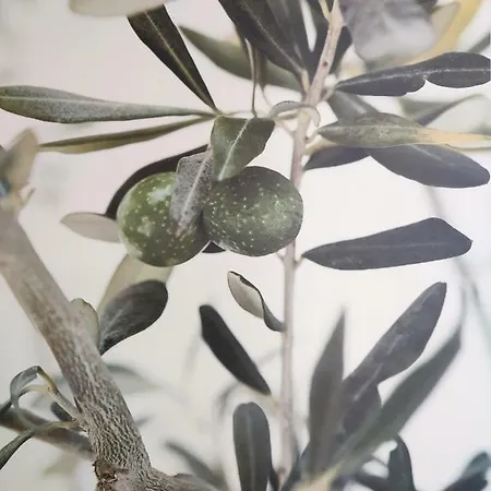 Greca Mare-traditional Greek Boutique Apt. Vakantiehuis