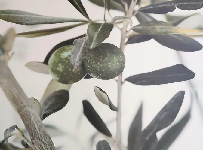 Greca Mare-traditional Greek Boutique Apt. Casa vacanze